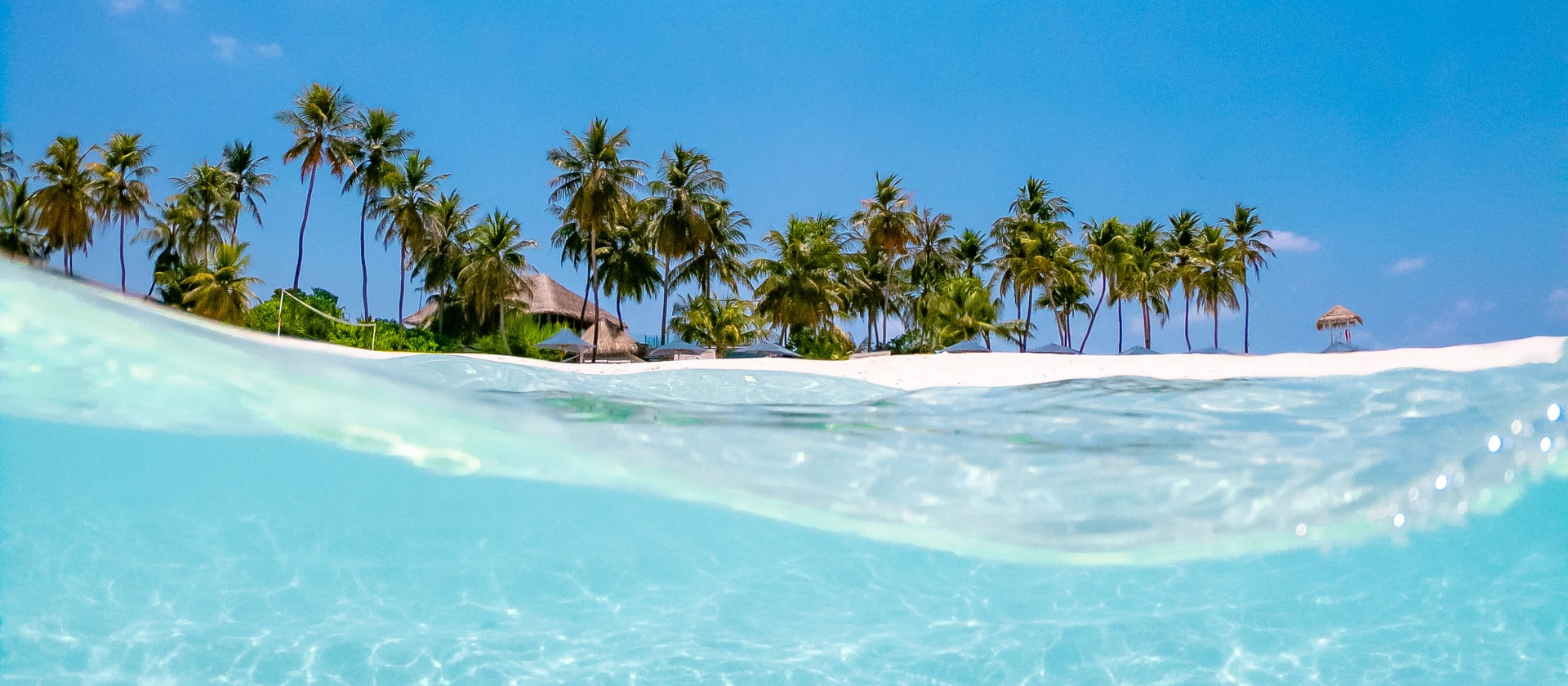 Island with palm trees, Maldives