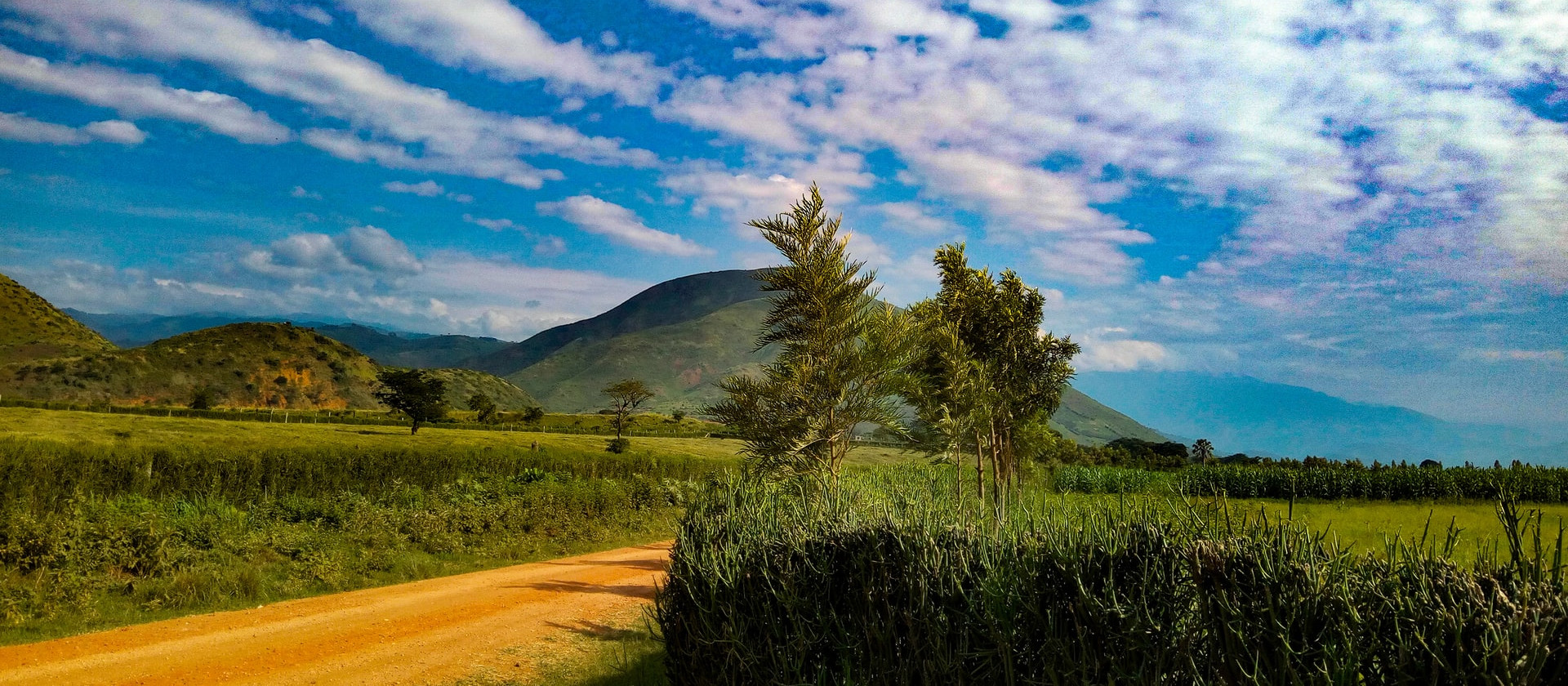 Fields and mountains in Kasese, Uganda